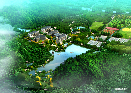 003小鳥瞰1_副本.jpg 003小鳥瞰1_副本.jpg