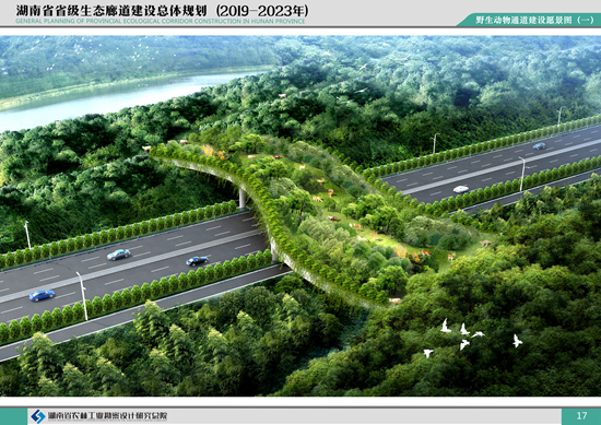 17野生動物通道建設愿景圖_副本.jpg 17野生動物通道建設愿景圖_副本.jpg